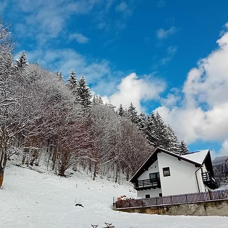 Casa Valea Prejbei Rau Sadului Exterior foto