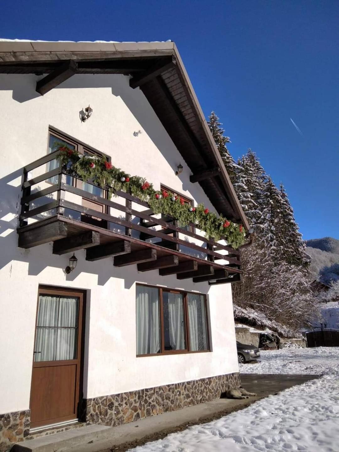 Casa Valea Prejbei Rau Sadului Exterior foto