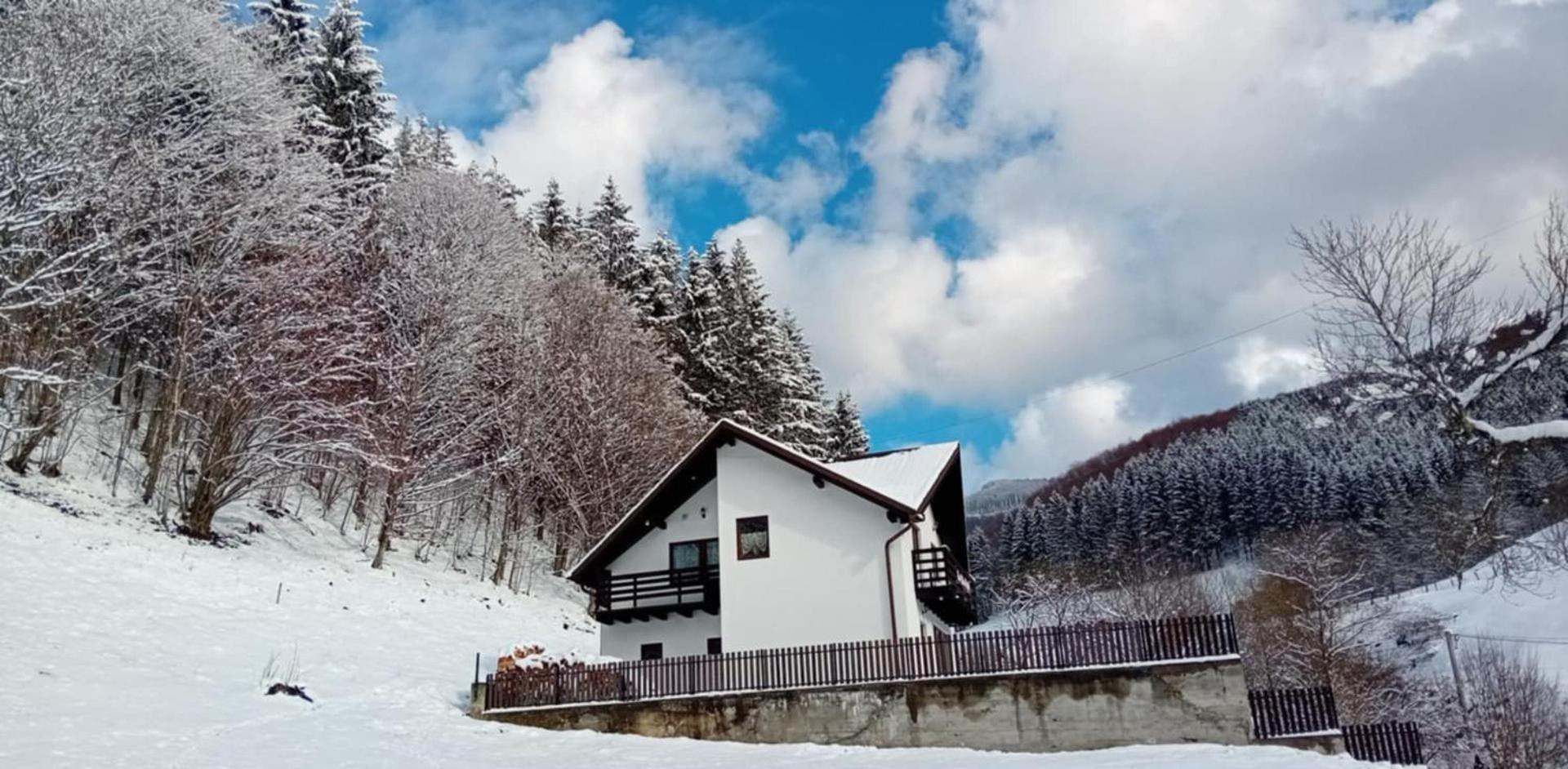 Casa Valea Prejbei Rau Sadului Exterior foto