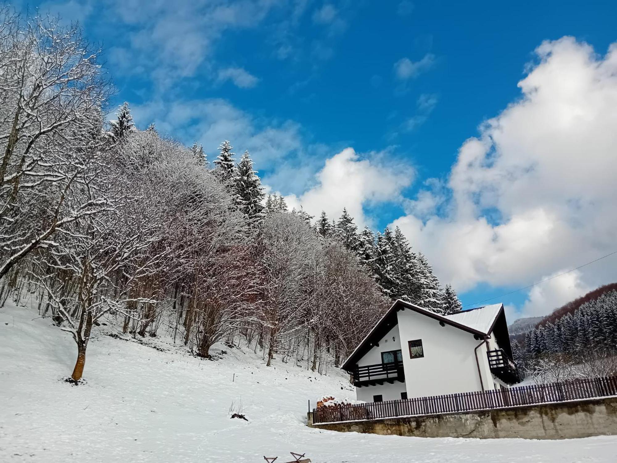 Casa Valea Prejbei Rau Sadului Exterior foto